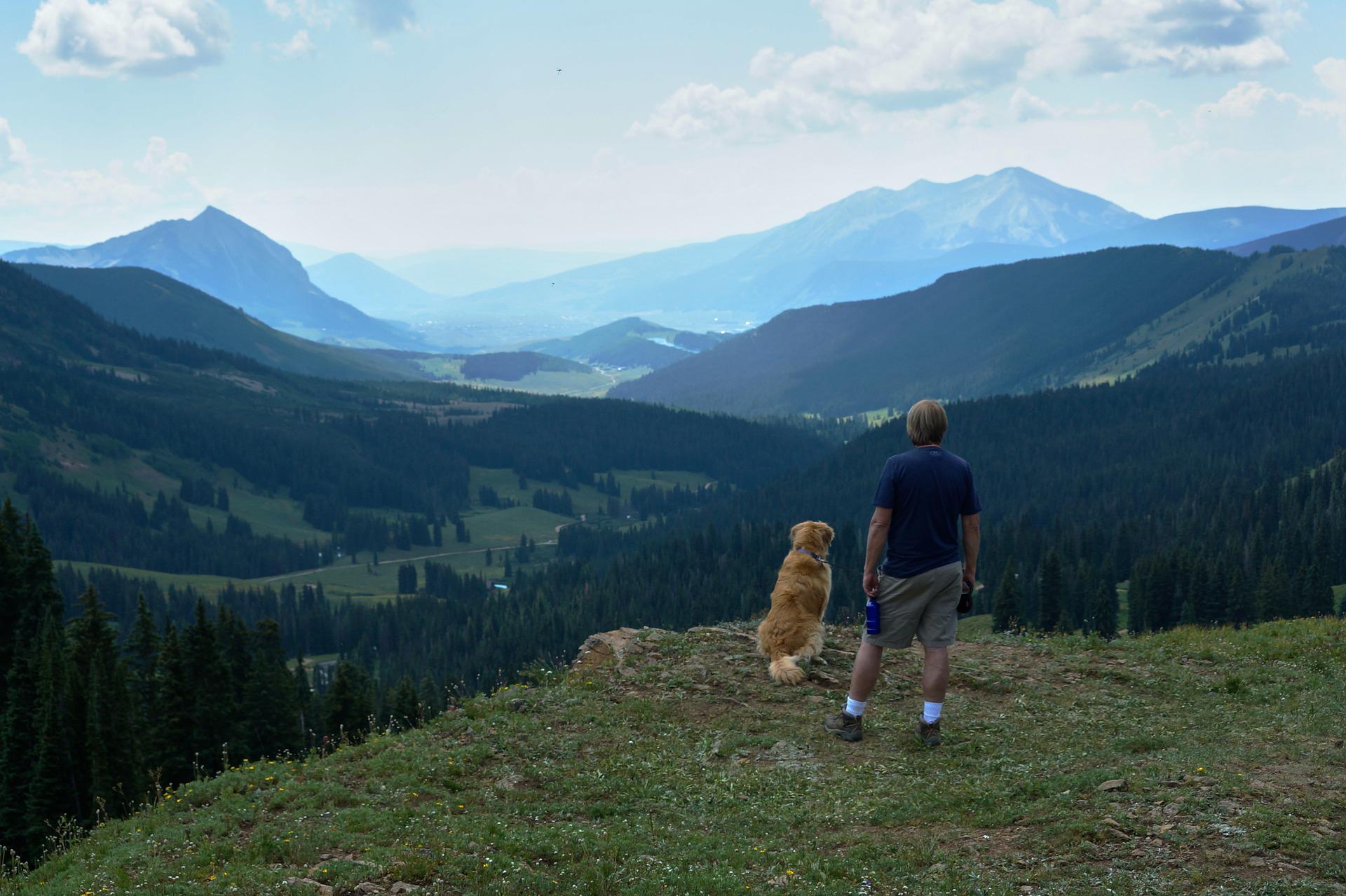 Chien en balade pendant les vacances